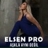Elsen Pro