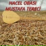 Mustafa Tereci
