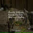 RelaxMyCat, Cat Music, Music for Cats Project