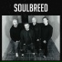 SoulBreed