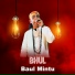 Baul Mintu