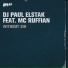 DJ Paul Elstak Ft. MC Ruffian