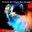 Музыка для кошек Все звезды