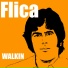 FLICA