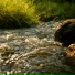 Elaris, Природа
