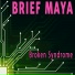 Brief Maya