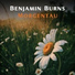 Benjamin Burns