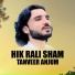 Tanveer Anjum