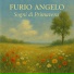 Furio Angelo