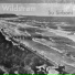 Wildstrøm