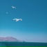 WOWWW, The Chillout Lofi Lab, Lofi Chillout Co.