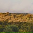 Defórmica