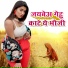 Arun Ashiq