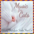 RelaxMyCat, Cat Music Dreams, Cat Music