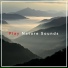 Rain Sounds & Nature Sounds