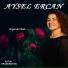 Aysel Ercan