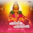 Santhosh Krishna
