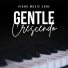 Piano Music Zone