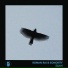 Roman Rai, Sonority