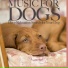 Dog Music Dreams, Relaxmydog, Pet Music Therapy