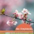 Nu Crepuscolo