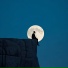lonelyman