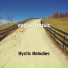 Mystic Melodies