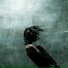 Катя Ре, Jangju