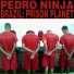 Pedro Ninja