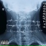Anthropods