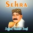 Sajjad Hussin Saqi
