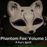 A Fox's Spirit