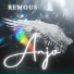 remousdc