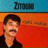 Zitouni