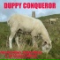 Duppy Conqueror