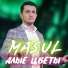 MASUL [drivemusic.me]
