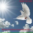 Sprit Of Life