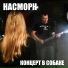 Насморк