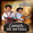 Los Amigos
