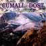 Cumali Dost