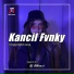 Kancil Fvnky