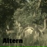 Altern