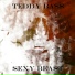 Teddy Bass