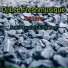 Dj Lee Freshmusique feat. Swxtch, Tk Bee