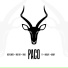 Wolo Tape, Kessy Santos, Hieldjey feat. PZ, Pakas