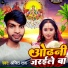Anjit Raj