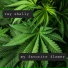 Ray Shelly