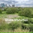 Divine Vibration