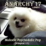Anarchy17, Evgeniy Lenov