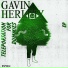 Gavin Herlihy